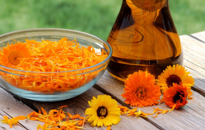 Nechtík (Calendula officinalis) Nechtík (Calendula officinalis)